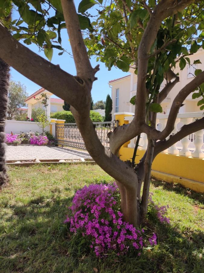 Apartman Car Vir Dış mekan fotoğraf